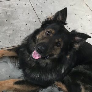 Meet your Posher, Natalie